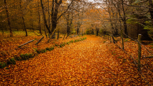 956433 (a): :2048x1152